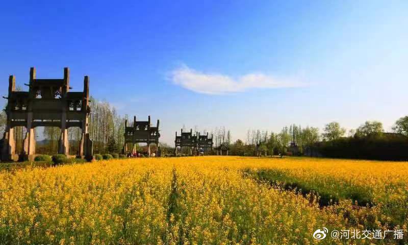 8140ac89gy1hdr18v4mb7j20m80dc75m.jpg 8140ac89gy1hdr18v4mb7j20m80dc75m.jpg